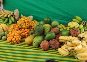 Sábado (29) tem feira de produtos orgânicos no RioMar Kennedy