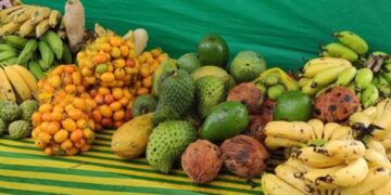 Sábado (29) tem feira de produtos orgânicos no RioMar Kennedy