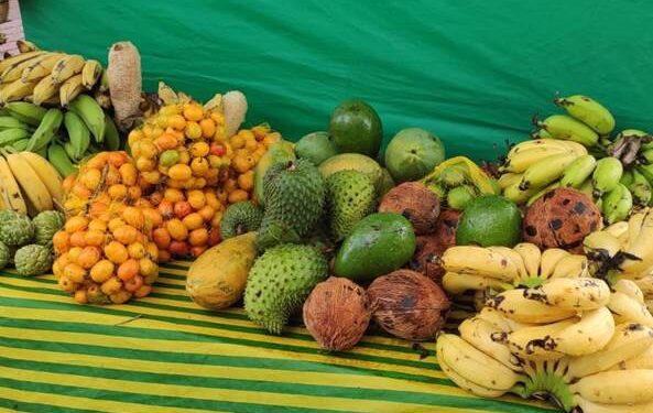 Sábado (29) tem feira de produtos orgânicos no RioMar Kennedy