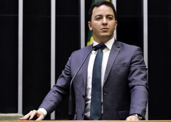 Célio Studart quer tornar crime negligência contra animais durante transporte