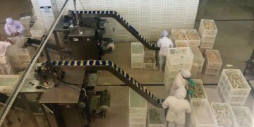 Nossa Fruta abre vagas de emprego para atuação em Fortaleza, Eusébio e Pereiro