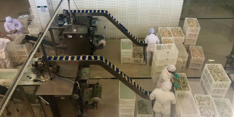 Nossa Fruta abre vagas de emprego para atuação em Fortaleza, Eusébio e Pereiro