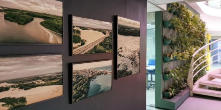 SJ Imóveis completa 40 anos com exposição em homenagem à Sabiaguaba 