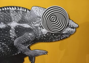 Inédito no Ceará, Museu das Ilusões é destaque em Fortaleza neste fim de semana
