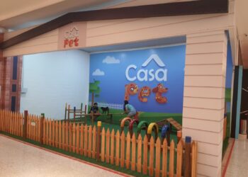 Conheça a Casa Pet, o parquinho de diversão para animais do Shopping Parangaba