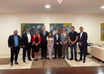 Diretores da Anec visitam presidente do Senado para reivindicar volta dos 35% de margem consignável