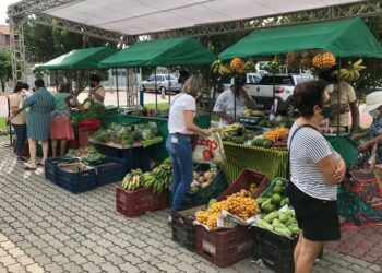 RioMar Kennedy realiza neste sábado mais uma edição da Feirinha de Orgânicos