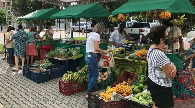 RioMar Kennedy realiza neste sábado mais uma edição da Feirinha de Orgânicos