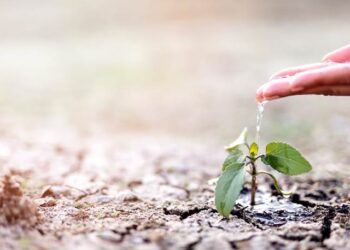 Shoppings RioMar realizam ações de conscientização para o Dia Mundial da Água e da Hora do Planeta