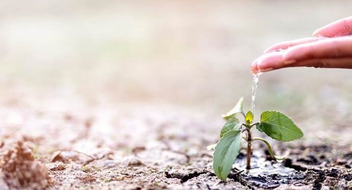 Shoppings RioMar realizam ações de conscientização para o Dia Mundial da Água e da Hora do Planeta