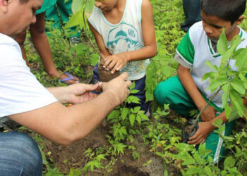 Projeto ‘No Clima da Caatinga’ celebra Dia da Caatinga com ações de educação ambiental