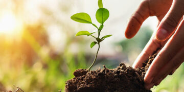 Mais verde: Festa Anual da Árvore valoriza conceitos sustentáveis em Fortaleza