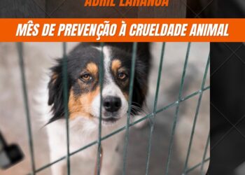 ABRIL LARANJA: CRMV-CE REFORÇA PREVENÇÃO À CRUELDADE ANIMAL