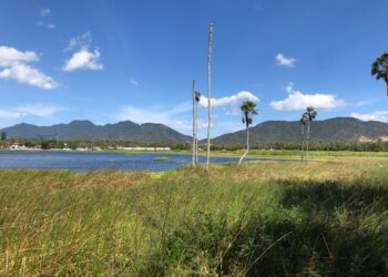 Associação Caatinga e CoBAP firmam parceria para reflorestar Unidade de Conservação em Maracanaú