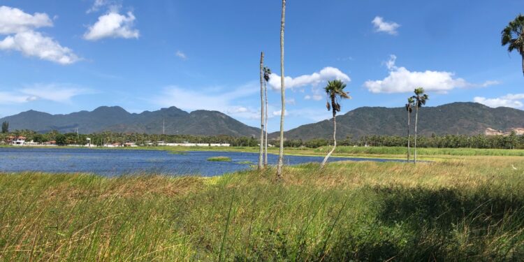 Associação Caatinga e CoBAP firmam parceria para reflorestar Unidade de Conservação em Maracanaú