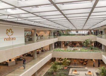 Compromisso com o Clima abre edital para captação de projetos ambientais