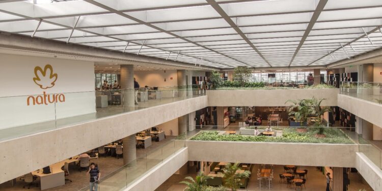 Compromisso com o Clima abre edital para captação de projetos ambientais