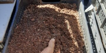 CANTINHO DO FRANGO ECONOMIZA CO2  POR MEIO DO SISTEMA DE COMPOSTAGEM