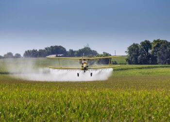 BNB cria superintendência para agronegócios e prevê investir R＄ 9 bilhões no setor