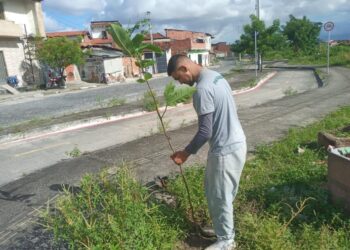 Construtora realiza plantio de árvores em pontos do Rio Maranguapinho