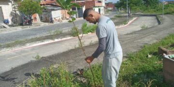 Construtora realiza plantio de árvores em pontos do Rio Maranguapinho