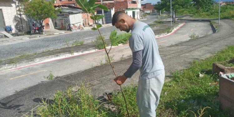 Construtora realiza plantio de árvores em pontos do Rio Maranguapinho