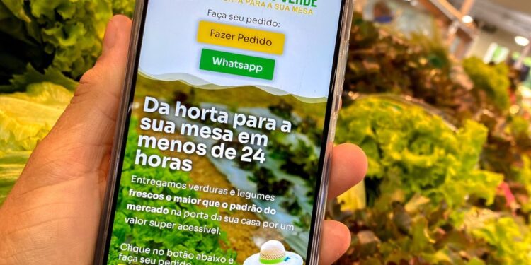 Campo Ouro Verde lança delivery que entrega legumes e verduras em até 24 horas