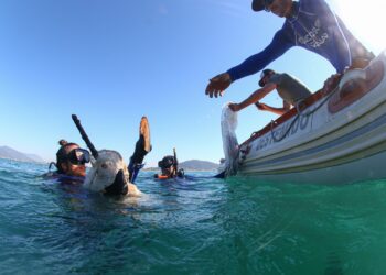 Natura Kaiak promove limpeza em praia do Ceará e reforça seu tributo aos oceanos