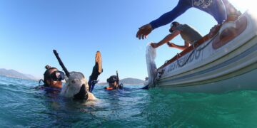 Natura Kaiak promove limpeza em praia do Ceará e reforça seu tributo aos oceanos