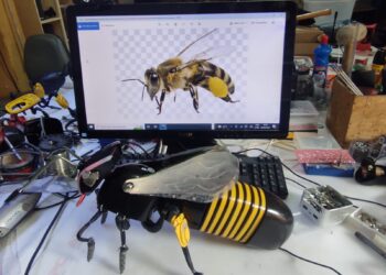 Em alusão ao Dia do Meio Ambiente, ibyte promove exposição de sustentabilidade no Iguatemi Bosque