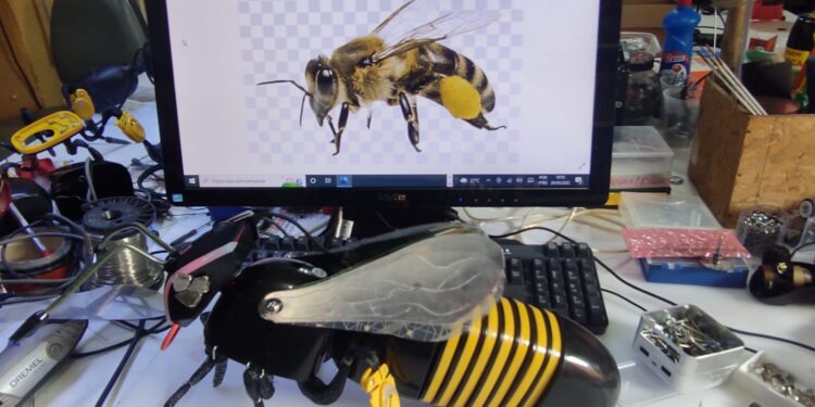 Em alusão ao Dia do Meio Ambiente, ibyte promove exposição de sustentabilidade no Iguatemi Bosque