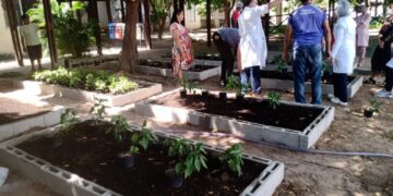 Shoppings do Grupo Ancar no Ceará avançam na reciclagem de resíduos no primeiro trimestre