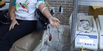 Sicredi Ceará realiza campanha solidária em alusão ao Dia de Cooperar 