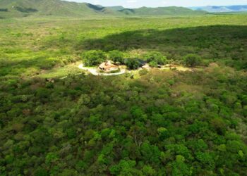 M. Dias Branco adota 800 hectares da Reserva Natural Serra das Almas