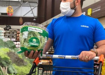 Campo Ouro Verde registra alta procura por coentro, cebolinha e alface crespa nos mercados de Fortaleza