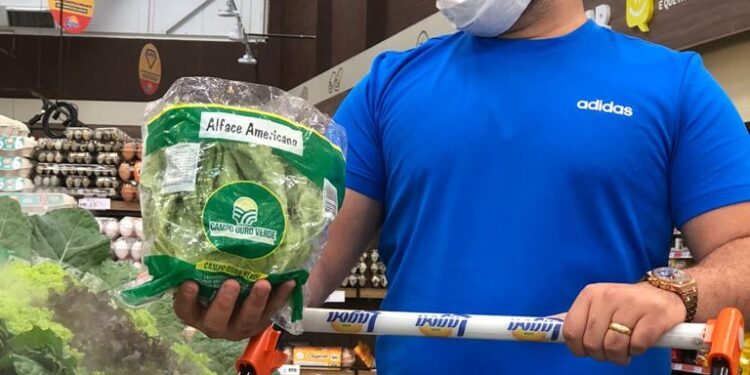 Campo Ouro Verde registra alta procura por coentro, cebolinha e alface crespa nos mercados de Fortaleza