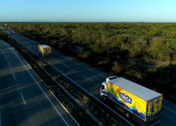 Lançamento da Tijuca Alimentos, ovos enriquecidos com selênio auxiliam no funcionamento do sistema imunológico