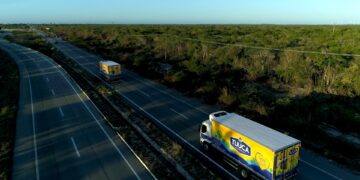 Lançamento da Tijuca Alimentos, ovos enriquecidos com selênio auxiliam no funcionamento do sistema imunológico