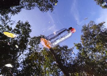 Natura e Sitawi criam fundo de apoio a cooperativas de reciclagem na Amazônia para coleta de plásticos em áreas de rios e igarapés