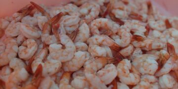 Produtores cearenses estão organizando o I Festival de Camarão em Fortaleza-CE