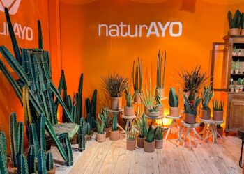 Em São Paulo, NaturAyo é destaque nas feiras Enflor e Garden Fair, de floricultura e paisagismo