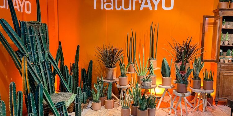 Em São Paulo, NaturAyo é destaque nas feiras Enflor e Garden Fair, de floricultura e paisagismo