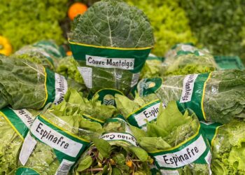 Verduras verde-escuras: ricas em nutrientes e antioxidantes, ajudam a prevenir o câncer