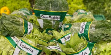 Verduras verde-escuras: ricas em nutrientes e antioxidantes, ajudam a prevenir o câncer