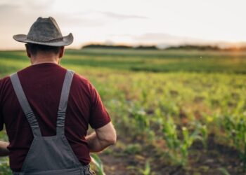 Legislação avança e permite Recuperação Judicial para produtor Rural
