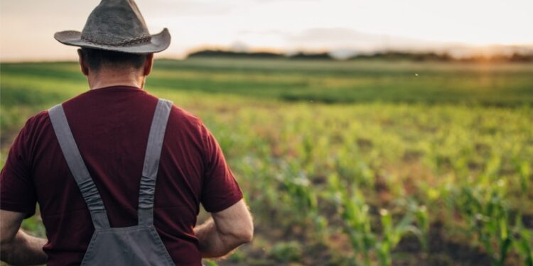 Legislação avança e permite Recuperação Judicial para produtor Rural