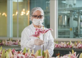 Corrente de mulheres incentiva protagonismo feminino em campanha de Lily Lumière, do Boticário