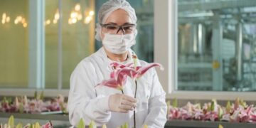 Corrente de mulheres incentiva protagonismo feminino em campanha de Lily Lumière, do Boticário