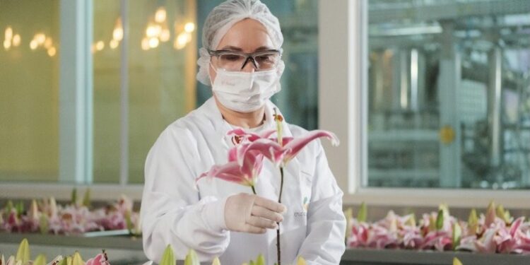 Corrente de mulheres incentiva protagonismo feminino em campanha de Lily Lumière, do Boticário