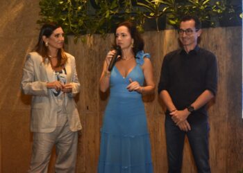 WEE TRAVEL LANÇA ÁREA ESPECÍFICA DE CRUZEIROS PERSONALIZADOS, A WEE CRUISES